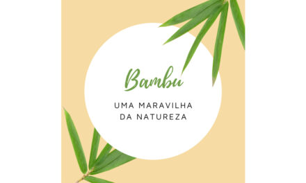 Chapas de Bambu: porque o bambu é uma maravilha da natureza