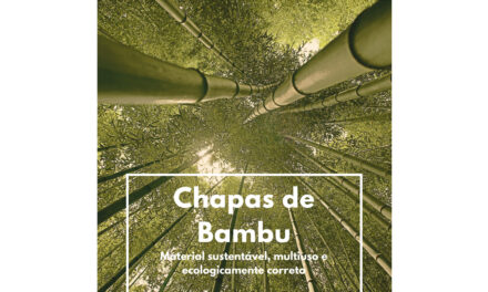 Chapas de Bambu: sustentáveis, multiuso e ecologicamente corretas